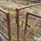 small-livestock-pens-image-12