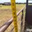 3-pt-livestock-carrier-image-13