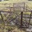 deer-stand-image-6
