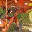 new-holland-1033-image-12