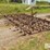 12'-spring-tooth-harrow-image-5