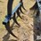 102"-bucket-w/maxi-grapple-image-9
