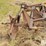 ford-4x14"-mounted-plow-image-2