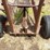kneib-70-pop-up-bale-loader-image-14