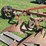 allis-chalmers-3-bottom-3pt-hitch-moldboard-plow-w/coulters-image-12