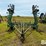 deutz-allis-27'-field-cultivator-image-2