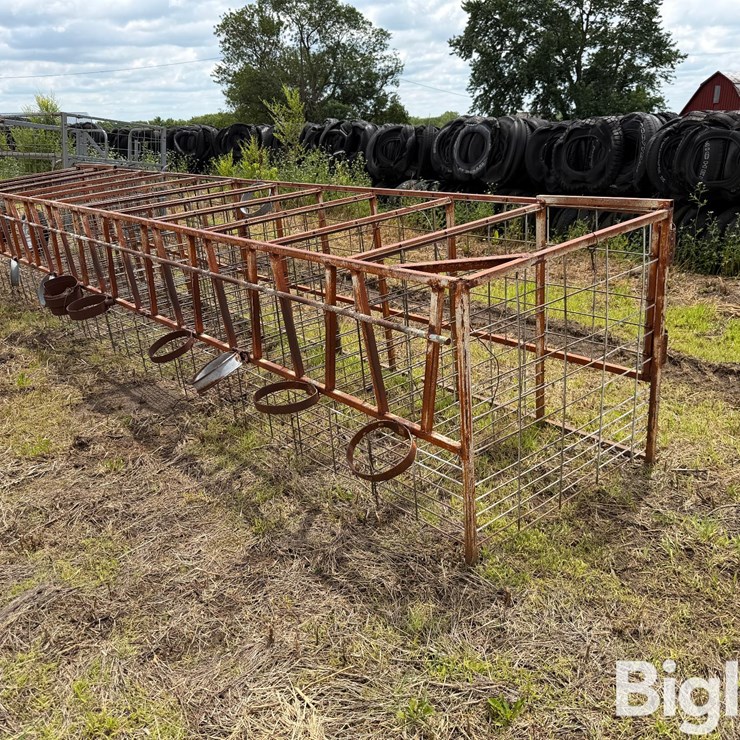 Calf Feeding Stalls