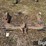 speeco-cat-ii-quick-hitch-image-6