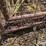 calf/sheep/goat-pen-image-12