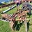 allis-chalmers-3-bottom-3pt-hitch-moldboard-plow-w/coulters-image-18