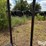 livestock-fitting-chute-image-17
