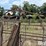 manual-close-headgate-image-11