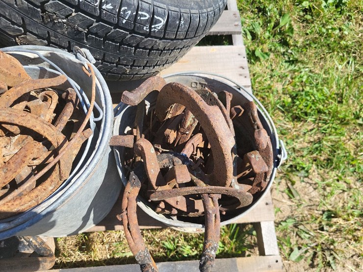(2)-buckets-of-horse-shoes,-(2)-235/60r15-tires,-(1)-honda-wb20t-gas-motor-w/transfer-pump-image-5