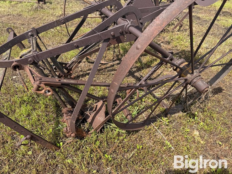 horse-drawn-cultivator-image-9