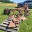 allis-chalmers-3-bottom-3pt-hitch-moldboard-plow-w/coulters-image-2