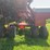 case-ih-1240-image-7