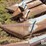 allis-chalmers-430f-4r30"-corn-head-image-13