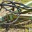 deutz-allis-27'-field-cultivator-image-10
