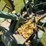 john-deere-b-image-35