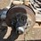 78"-axle-image-2
