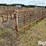 calf-feeding-stalls-image-7
