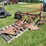 allis-chalmers-3-bottom-3pt-hitch-moldboard-plow-w/coulters-image-1