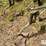 john-deere-6r30"-crop-cultivator-image-17