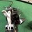 ruger-new-mdl.-blackhawk-45colt-revolver-image-11