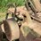 john-deere-a-image-24