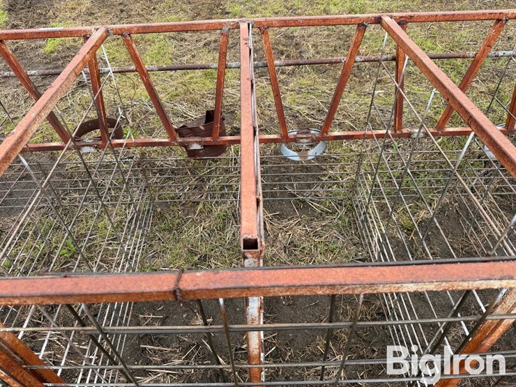 calf-feeding-stalls-image-11