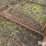 small-livestock-pens-image-16