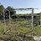 livestock-fitting-chute-image-4