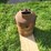 coal-fire-water-heater-image-5