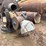 #2410-•-sawdust/shavings-dryer-plant-image-53