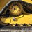 caterpillar-289d3-image-9
