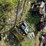 wacker-neuson-vp1550-image-3