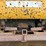 caterpillar-259b3-image-11