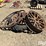 deere-tires-image-2