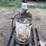 balcrank-2854-50:1-pneumatic-piston-grease-pump-image-5