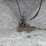 gar-bro-cement-hopper-image-15