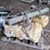 atv-sprayers-&-parts-image-4