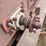 #2408-•-wood-shaving-plant-image-15