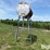 300-gal-fuel-barrel-w/stand-image-7