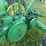 john-deere-bn-image-10