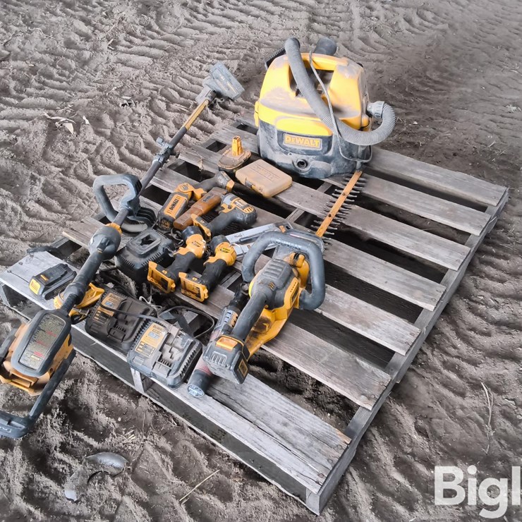 DeWalt Misc 20v Tools