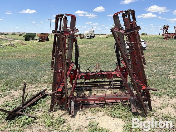 wil-rich-1403-image-6