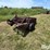 farmall-manure-spreader-image-5