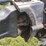 1987-case-ih-3394-image-20