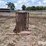 stand-alone-fence-image-8
