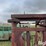 beef-master-cattle-chute-image-14